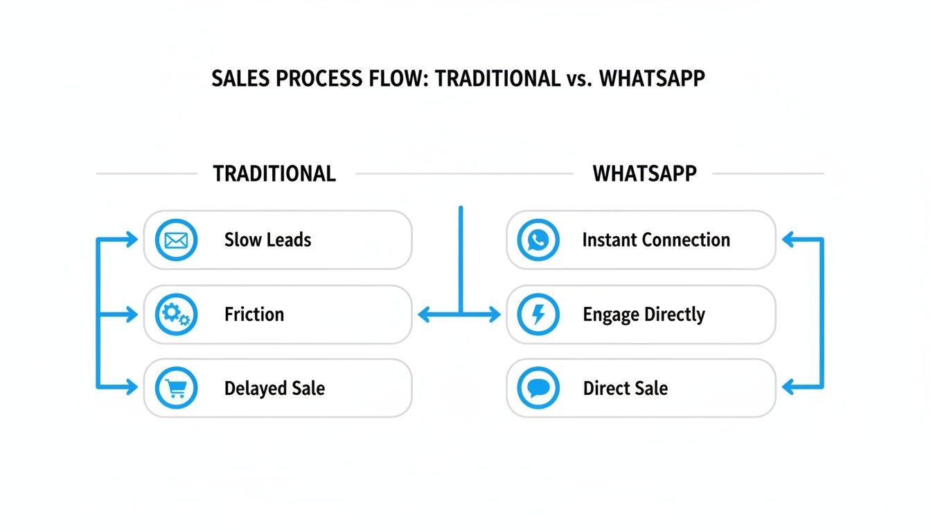 Create WhatsApp Link Sales Flow – Clepher